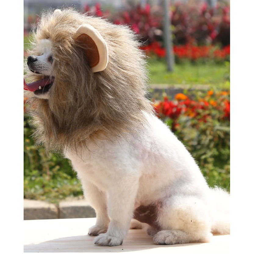Pat and Pet Emporium | Pet Costumes | Lion Mane Pet Dress Up