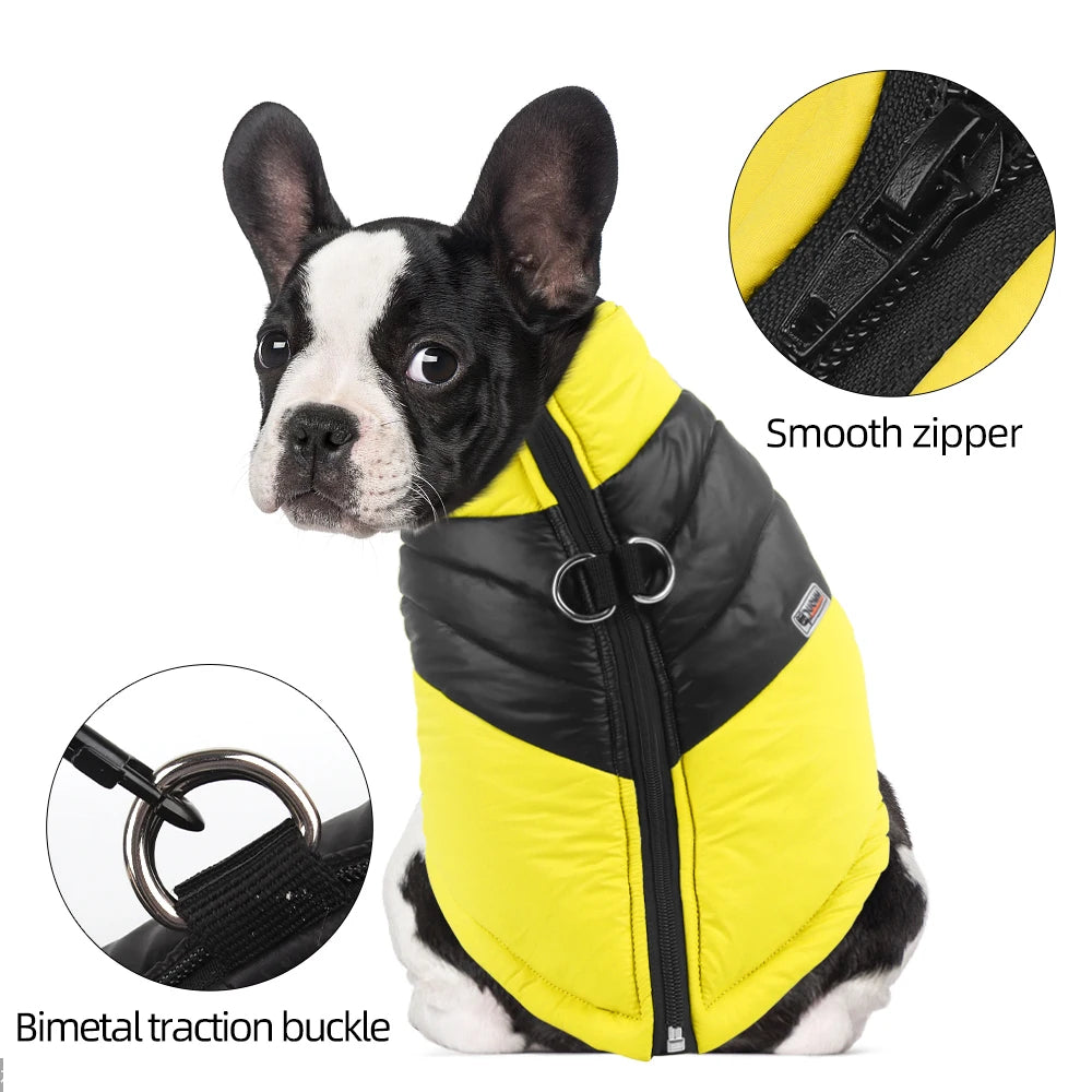 Pat and Pet Emporium | Pet Clothing | Waterproof Bright Dog Jackets