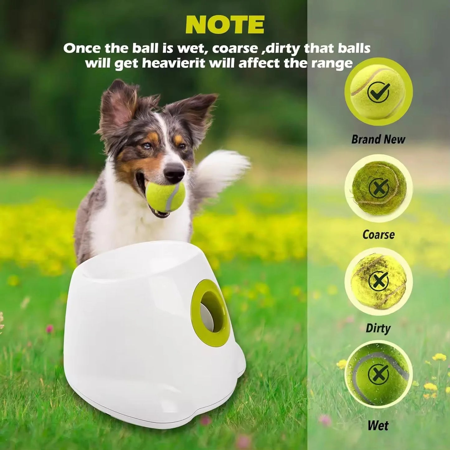 Pat and Pet Emporium | Pet Toys | Auto Ball Launcher