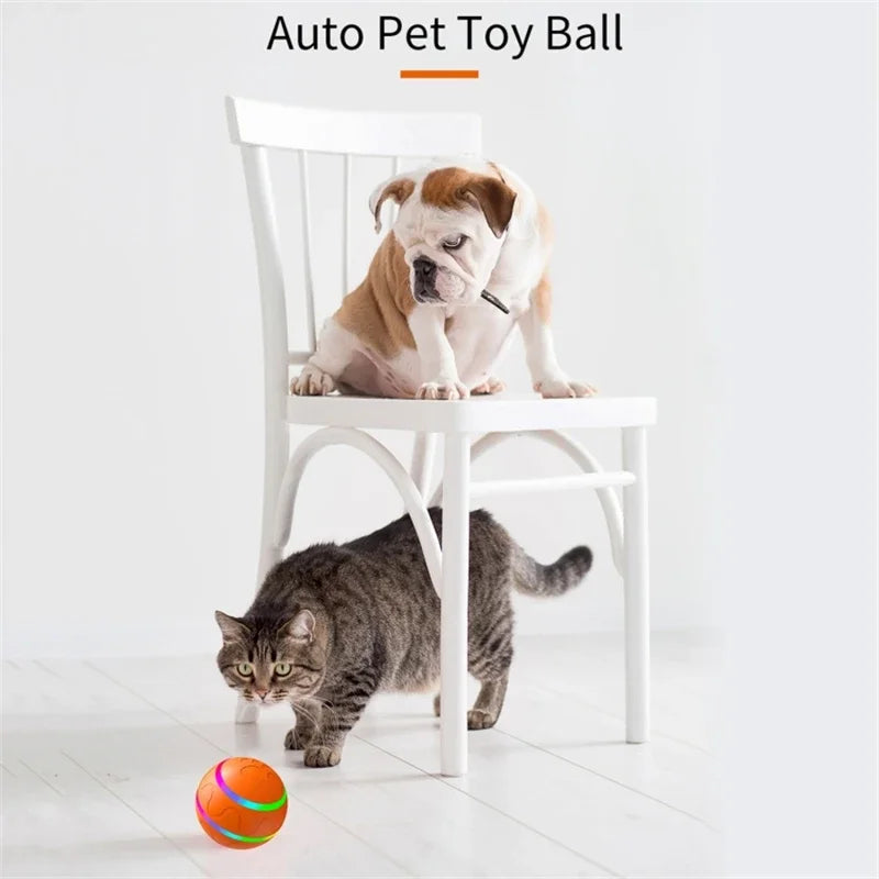 Pat and Pet Emporium | Pet Toys | Remote and Smart LED Ball
