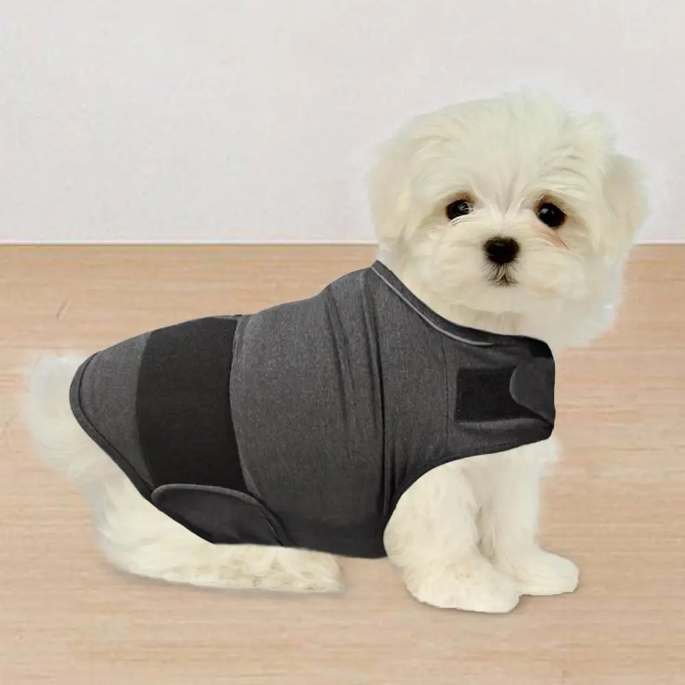 Pat and Pet Emporium | Pet Clothes | Anti Anxiety Jackets