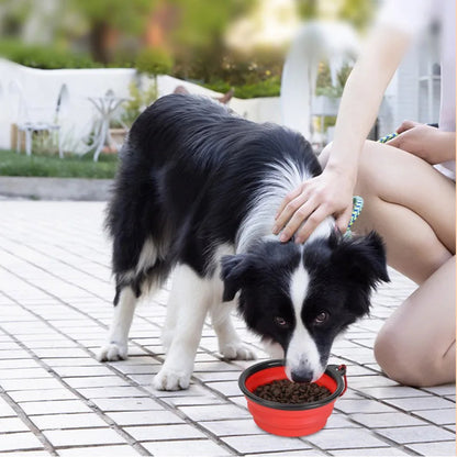Pat and Pet Emporium | Pet Bowls | Collapsible Pet Bowl with Lid