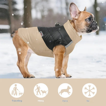 Pat and Pet Emporium | Pet Clothing | Waterproof Bright Dog Jackets