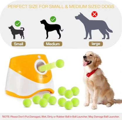 Pat and Pet Emporium | Pet Toys | Auto Ball Launcher