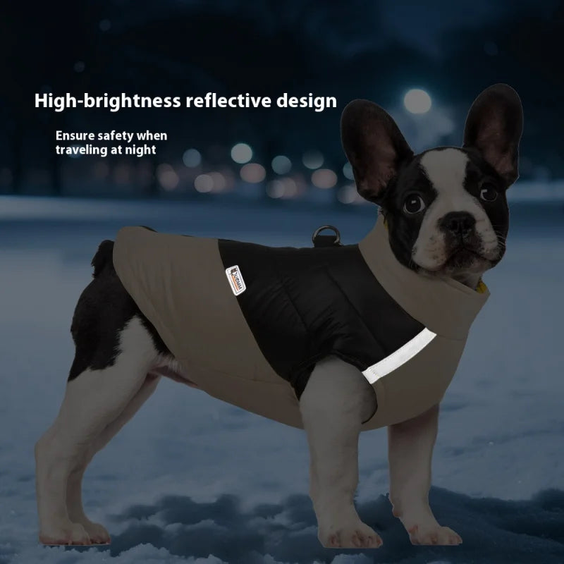 Pat and Pet Emporium | Pet Clothing | Waterproof Bright Dog Jackets
