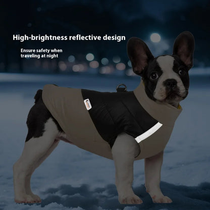 Pat and Pet Emporium | Pet Clothing | Waterproof Bright Dog Jackets