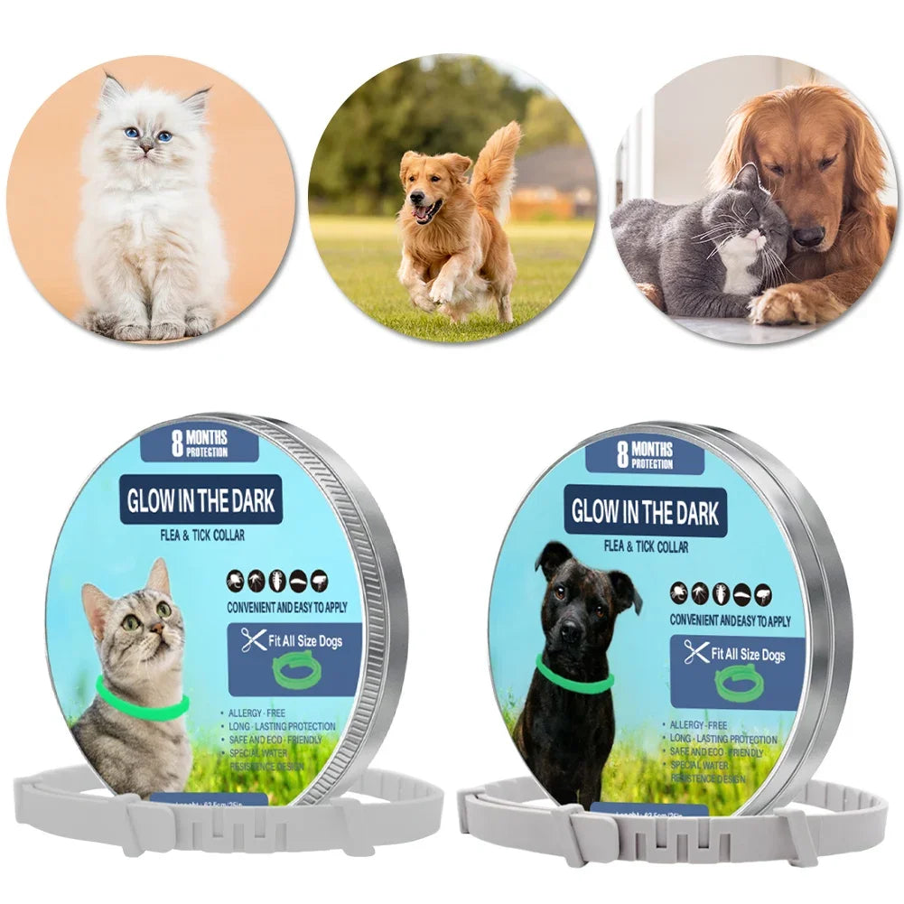 Pat and Pet Emporium | Pet Collars | Dog Cat Anti-Flea Collars