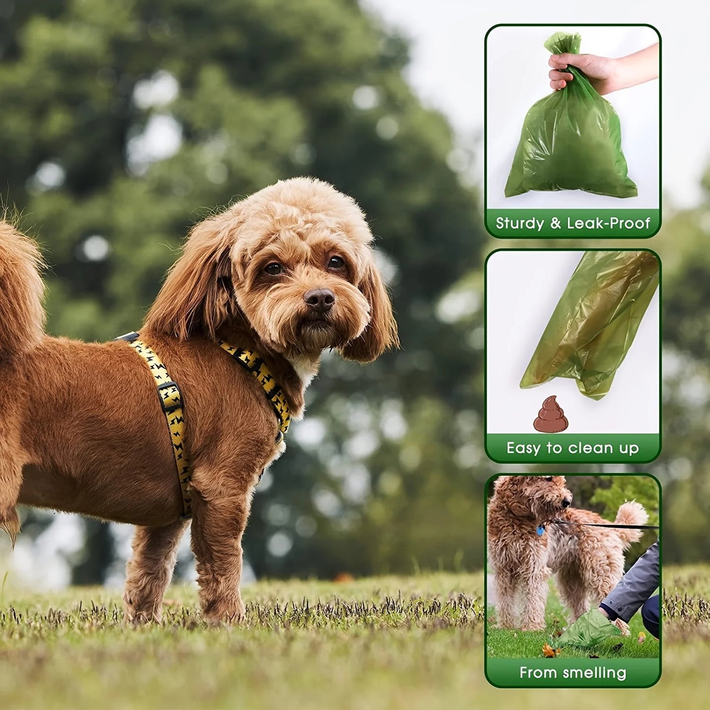 Pat and Pet Emporium | Pet Waste Disposal Tools | Poop Bags