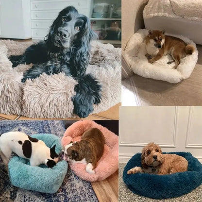 Pat and Pet Emporium | Pet Beds | Square Soft Plush Dog Bed