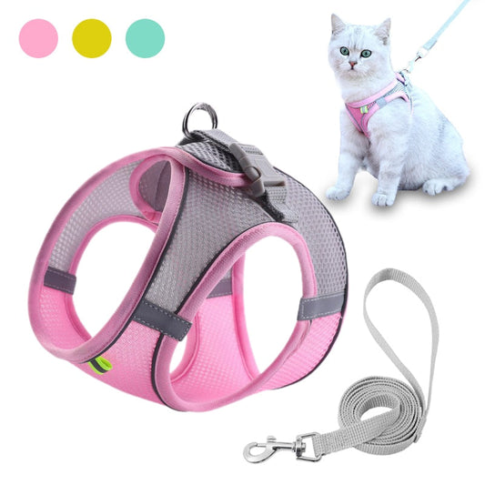 Pat and Pet Emporium | Pet Harnesses | Small Pet Leash Harness Set