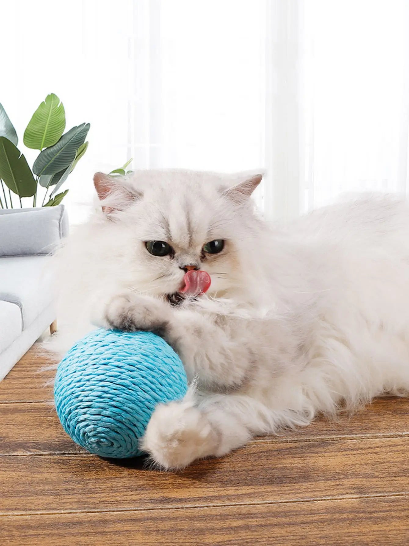 Pat and Pet Emporium | Cat Scratchers | Cat Sisal Scratch Ball