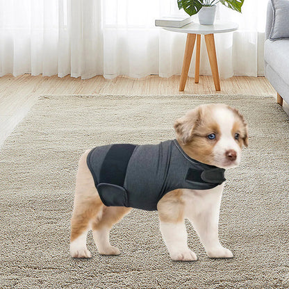 Pat and Pet Emporium | Pet Clothes | Anti Anxiety Jackets