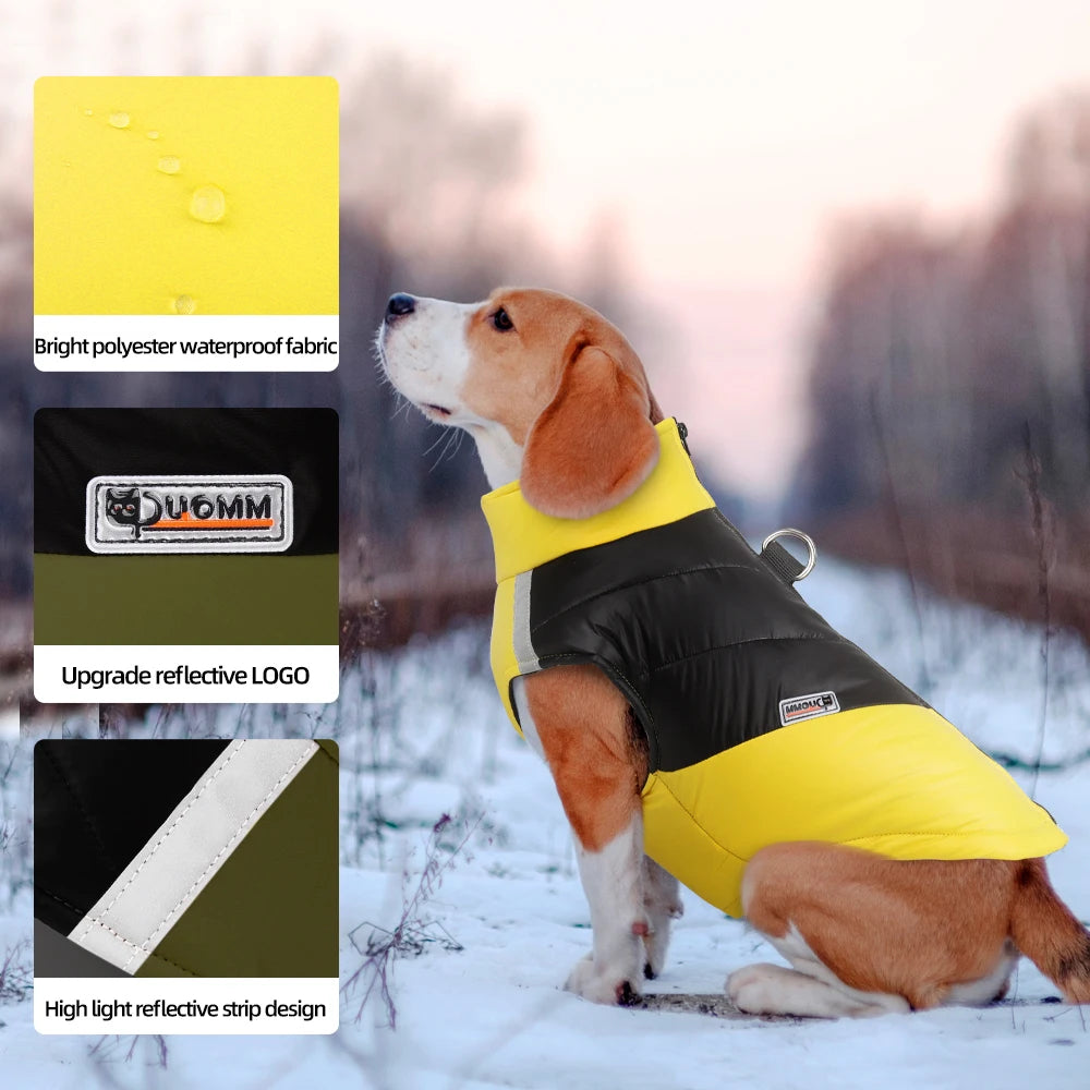Pat and Pet Emporium | Pet Clothing | Waterproof Bright Dog Jackets