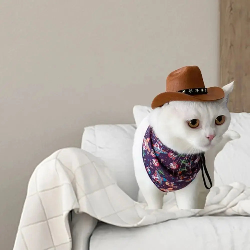 Pat and Pet Emporium | Pet Costumes | 5 Pcs Pet Cowboy Hats