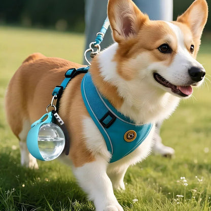 Pat and Pet Emporium | Pet Feeders | Portable Dog Ball Water Bottle