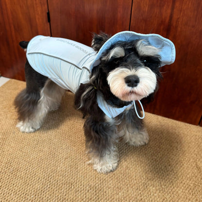 Pat and Pet Emporium | Pet Clothing | Cooling Dog Vest & Hat Set
