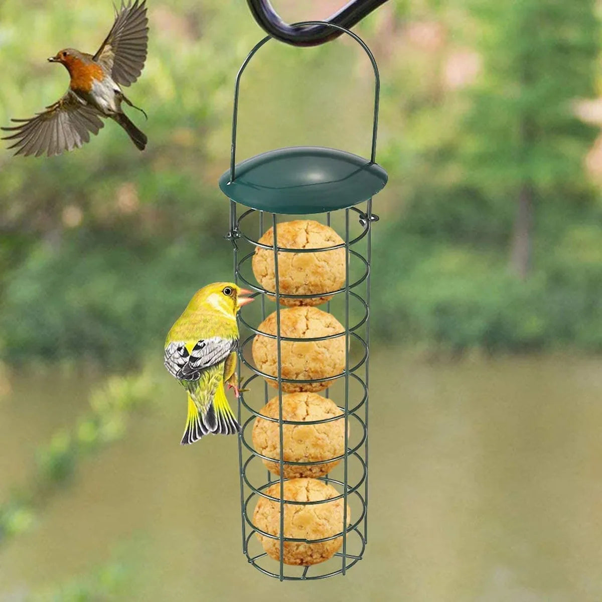 Pat and Pet Emporium | Pet Feeders | Metal Cage Bird Feeder