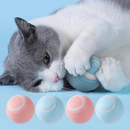 Pat and Pet Emporium | Pet Toys | Electric Smart Dog Ball Toys