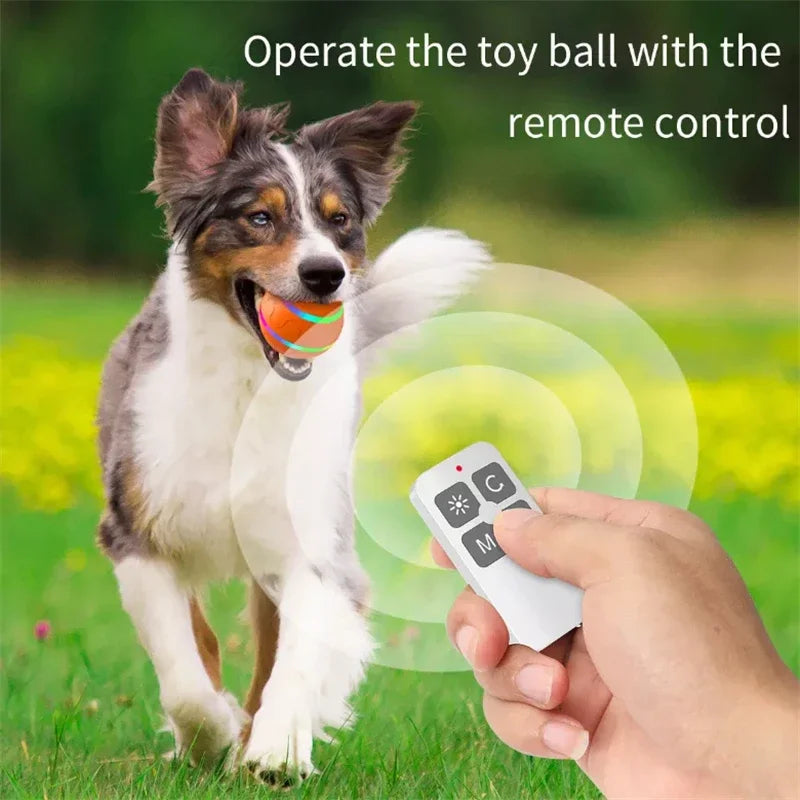 Pat and Pet Emporium | Pet Toys | Remote and Smart LED Ball