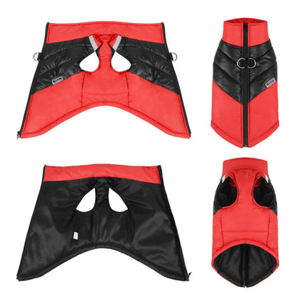 Pat and Pet Emporium | Pet Clothing | Waterproof Bright Dog Jackets