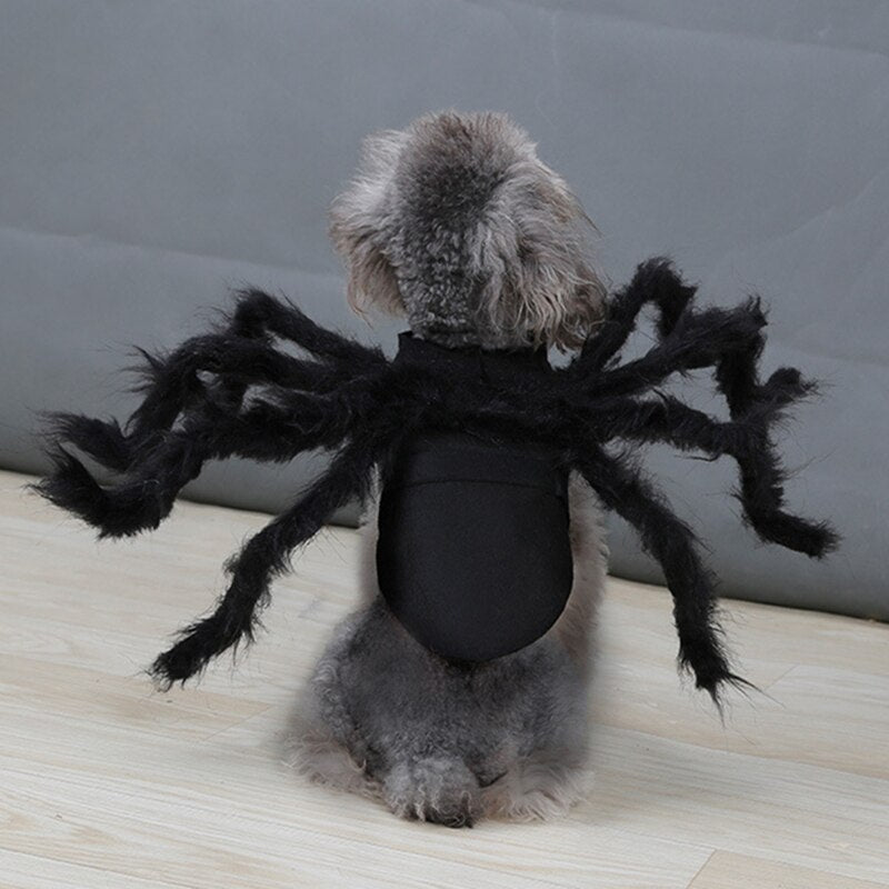 Pat and Pet Emporium | Pet Costumes | Spider Costume for Pets