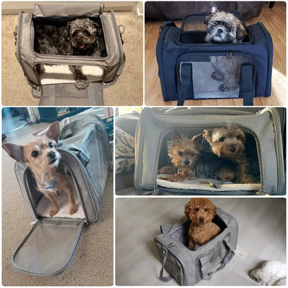 Pat and Pet Emporium | Pet Carriers | Dog Cat Carrier Backpack