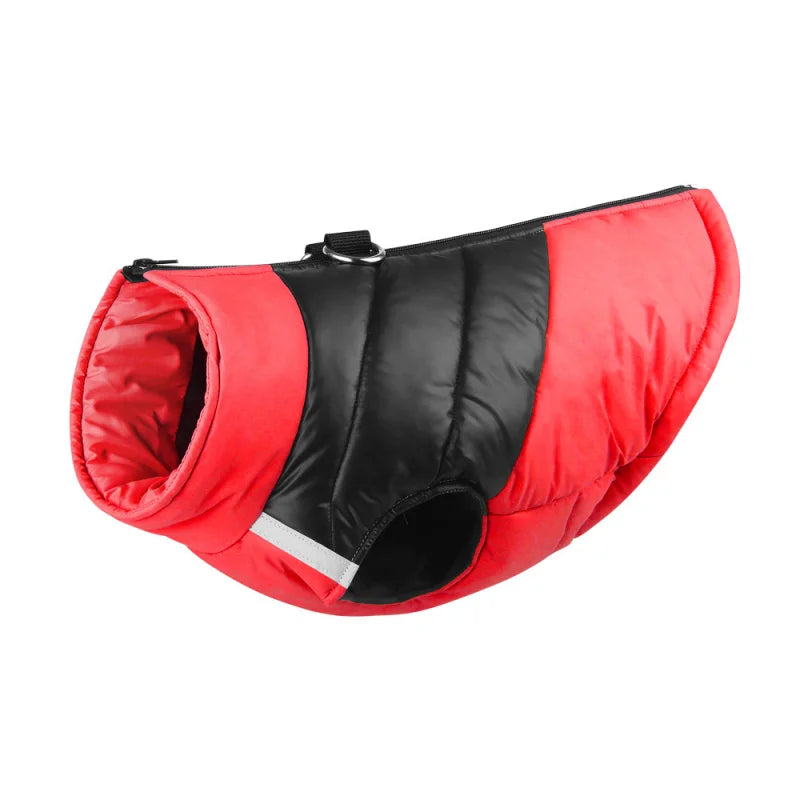 Pat and Pet Emporium | Pet Clothing | Waterproof Bright Dog Jackets