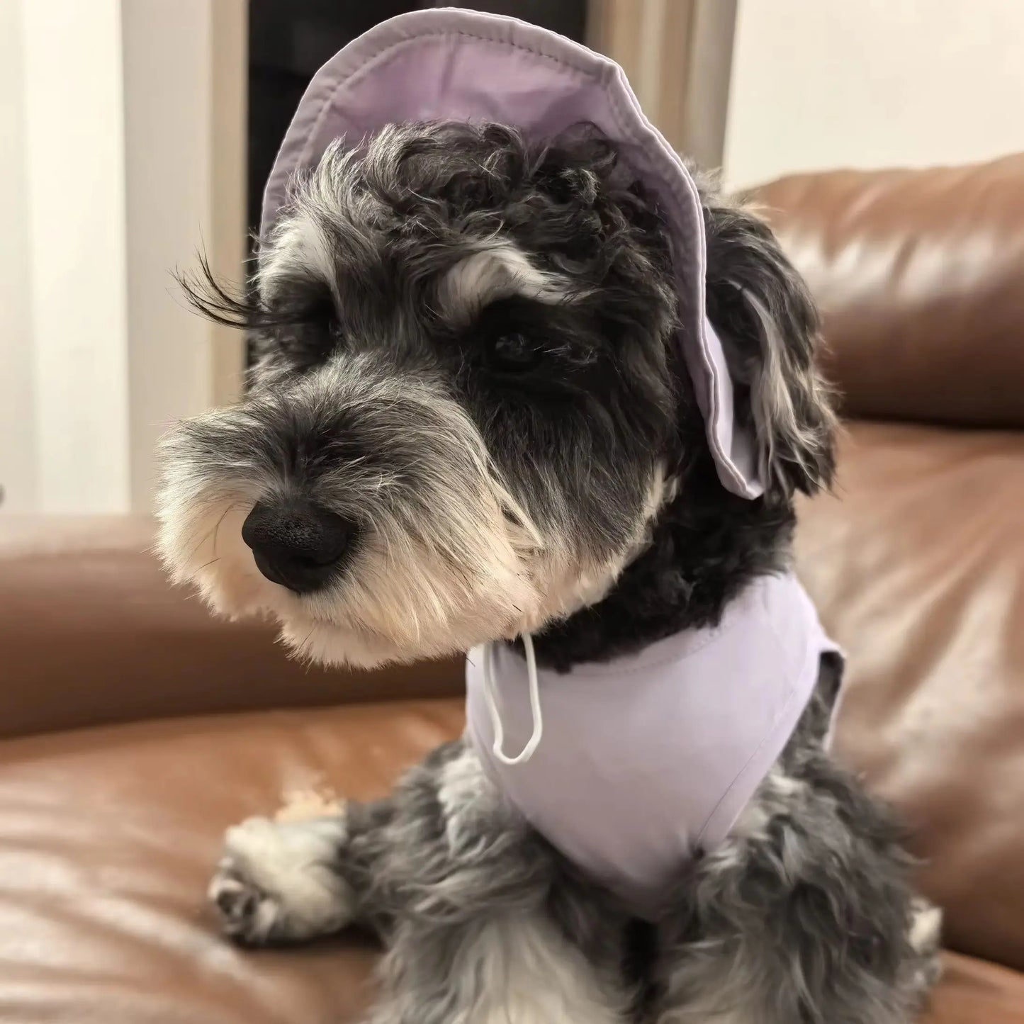 Pat and Pet Emporium | Pet Clothing | Cooling Dog Vest & Hat Set