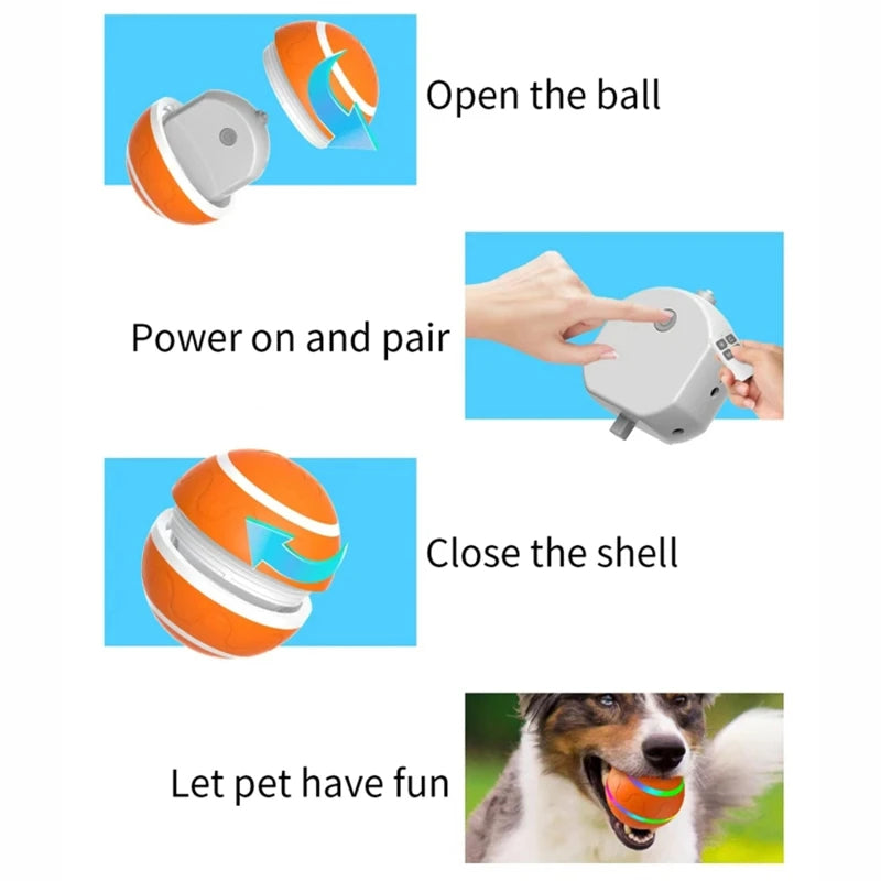 Pat and Pet Emporium | Pet Toys | Remote and Smart LED Ball