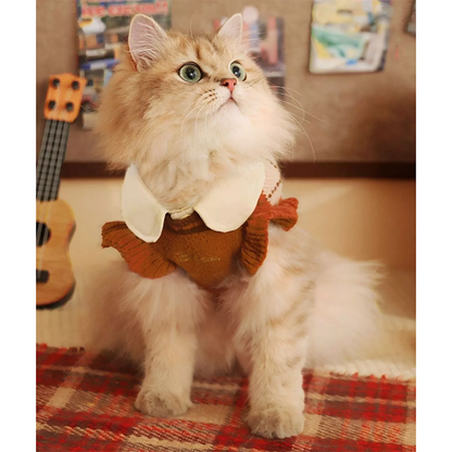 Pat and Pet Emporium | Pet Clothing | Argyle Pattern Pet Sweater
