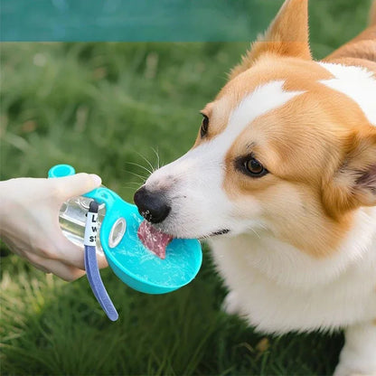 Pat and Pet Emporium | Pet Feeders | Portable Dog Ball Water Bottle