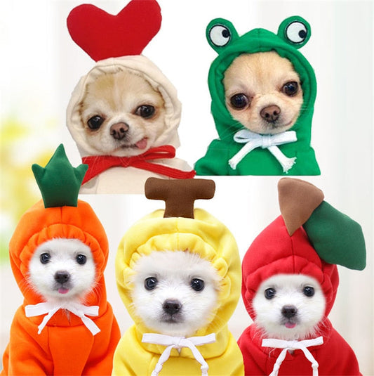 Pat and Pet Emporium | Pet Costumes | Fruit Pet Coat Hoodies