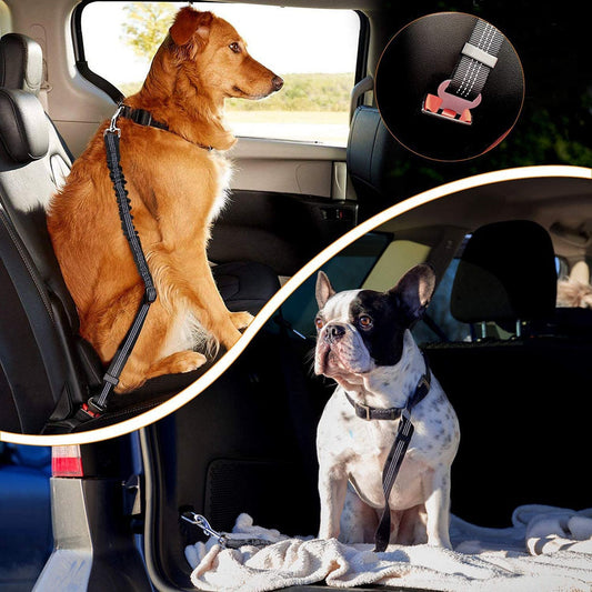 Pat and Pet Emporium | Pet Collars | Upgraded Adjustable Dog Seat Belt