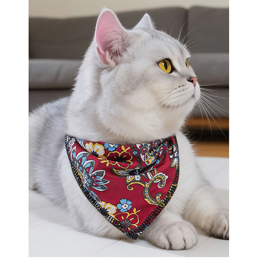 Pat and Pet Emporium | Pet Hats | Paisley Print Pet Scarf & Hat