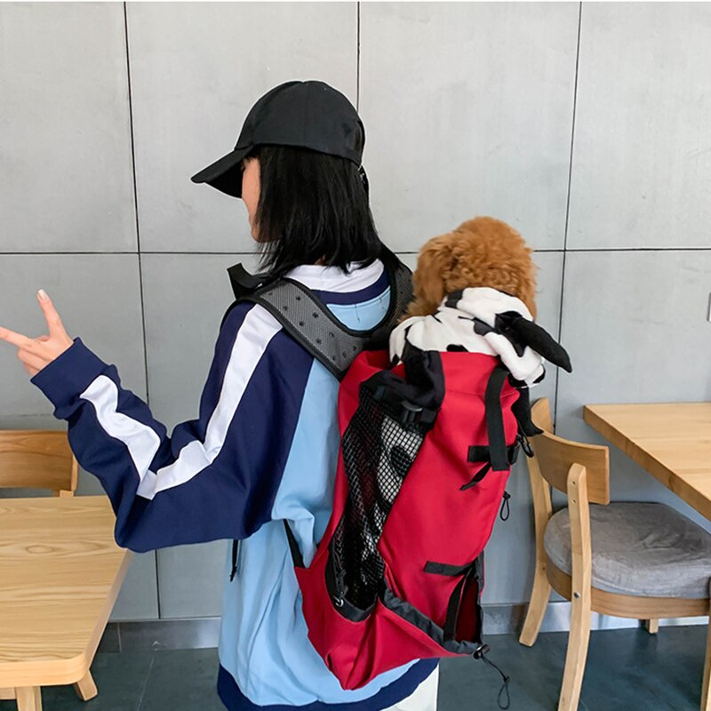 Pat and Pet Emporium | Pet Carriers | Outdoor Pet Backpacks