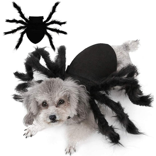 Pat and Pet Emporium | Pet Costumes | Spider Costume for Pets