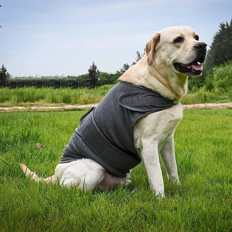 Pat and Pet Emporium | Pet Clothes | Anti Anxiety Jackets