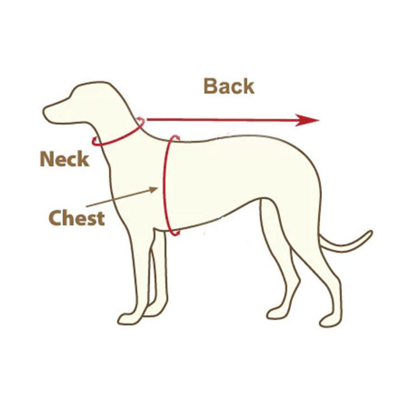 Pat and Pet Emporium | Pet Clothing | Pet Silky Pajamas