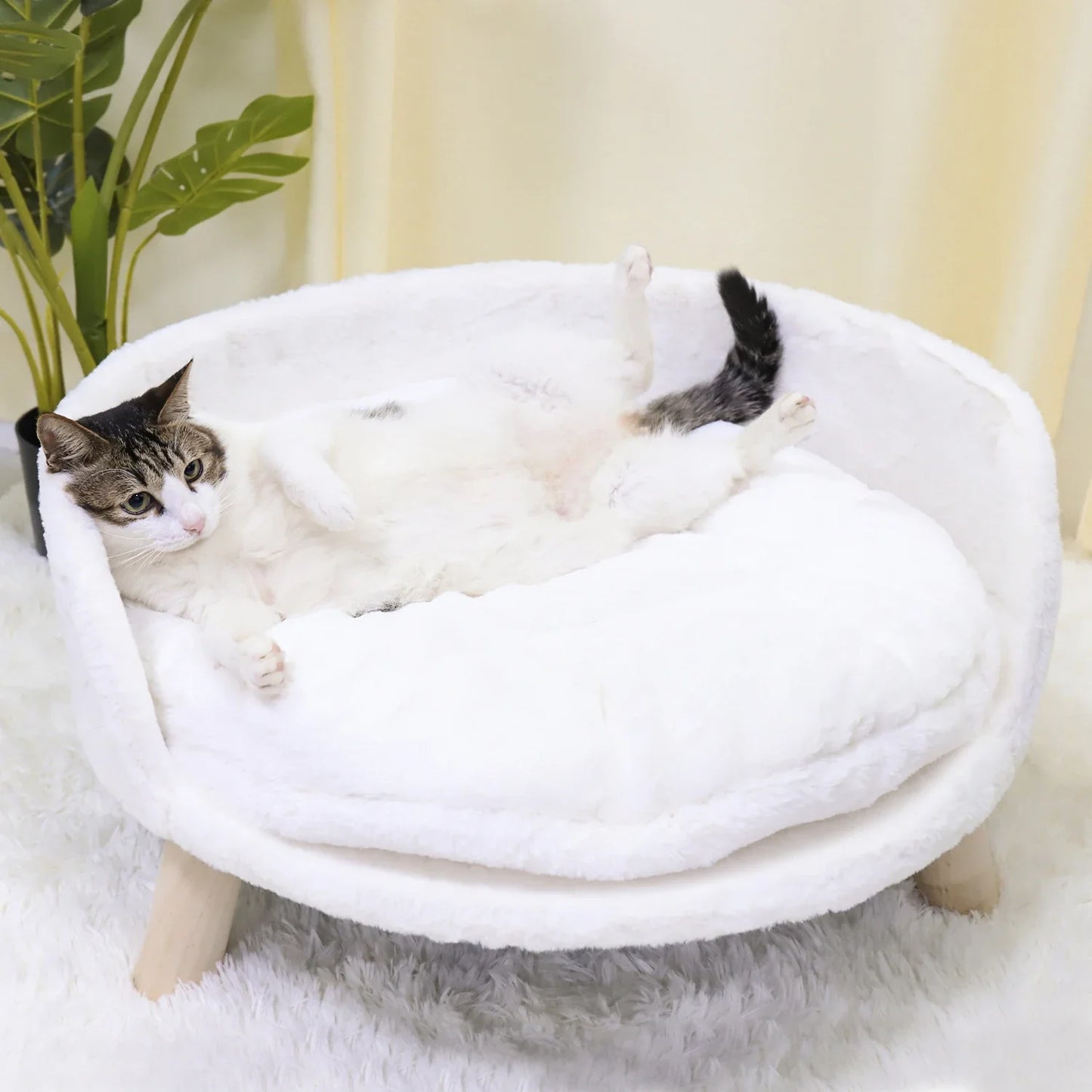 Pat and Pet Emporium | Pet Beds | Plush Small Pet Raised Chair
