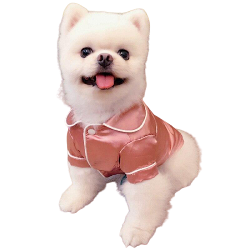 Pat and Pet Emporium | Pet Clothing | Pet Silky Pajamas