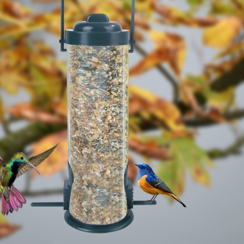 Pat and Pet Emporium | Pet Feeders | Bird Seed Perch Feeder