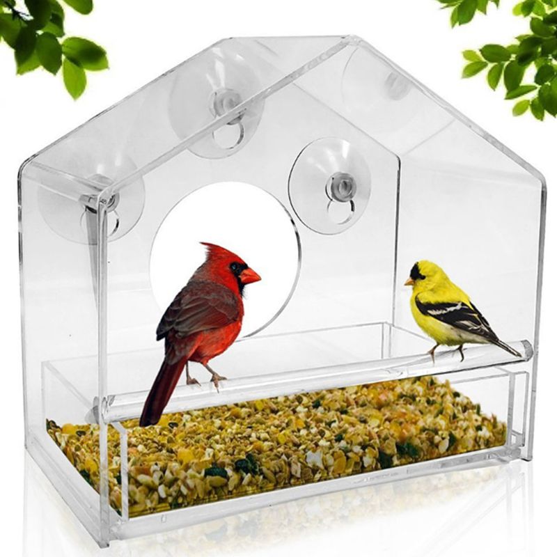 Pat and Pet Emporium | Pet Feeders | Suction Window Feeder