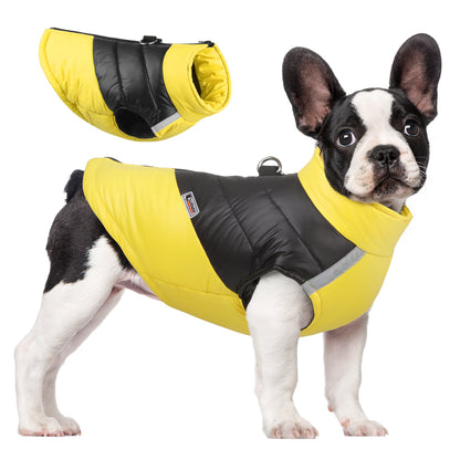 Pat and Pet Emporium | Pet Clothing | Waterproof Bright Dog Jackets