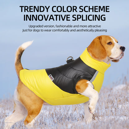 Pat and Pet Emporium | Pet Clothing | Waterproof Bright Dog Jackets