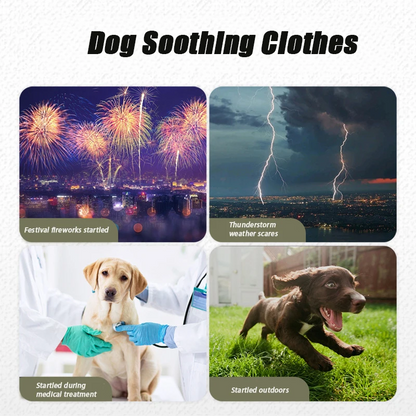 Pat and Pet Emporium | Pet Clothes | Anti Anxiety Jackets