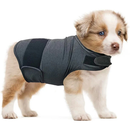 Pat and Pet Emporium | Pet Clothes | Anti Anxiety Jackets