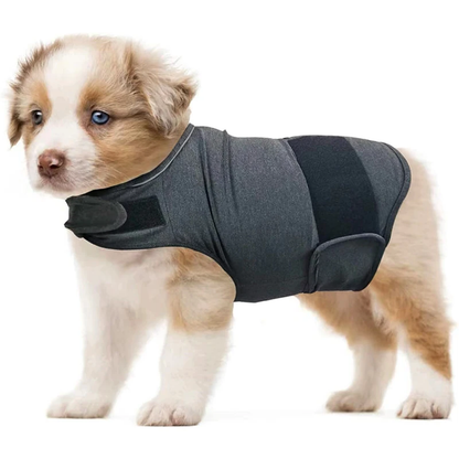Pat and Pet Emporium | Pet Clothes | Anti Anxiety Jackets