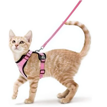 Pat and Pet Emporium | Pet Harnesses | Cat Walk Lead Harness