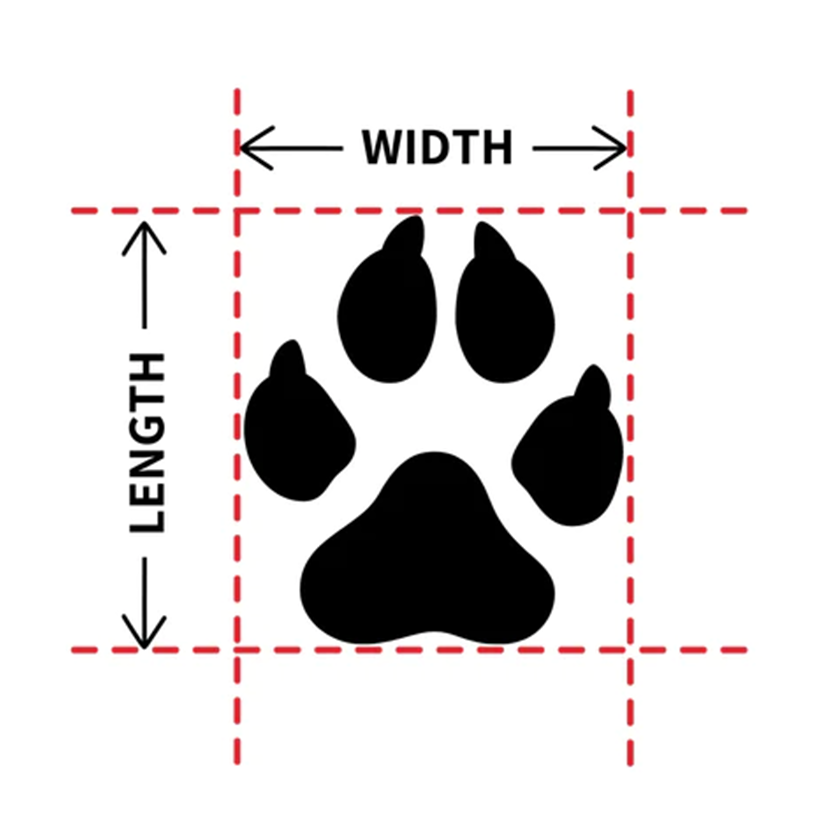 Pat and Pet Emporium | Pet Shoes | Paw Protector Dog Shoes