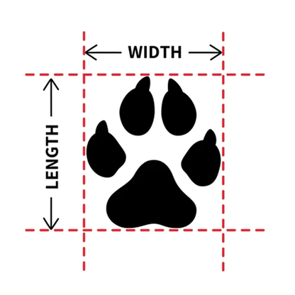 Pat and Pet Emporium | Pet Shoes | Paw Protector Dog Shoes